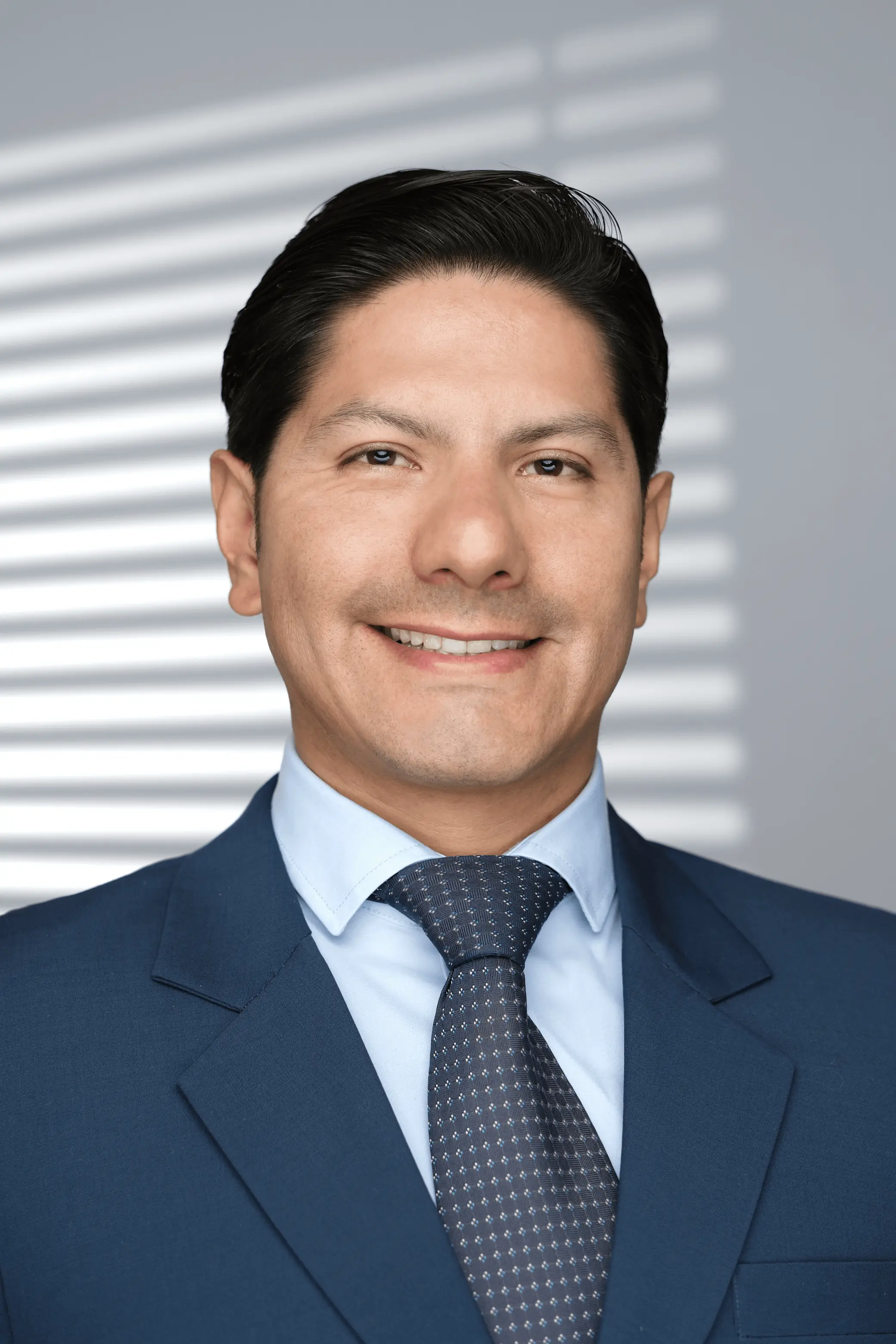 Retrato corporativo ejecutivo 13